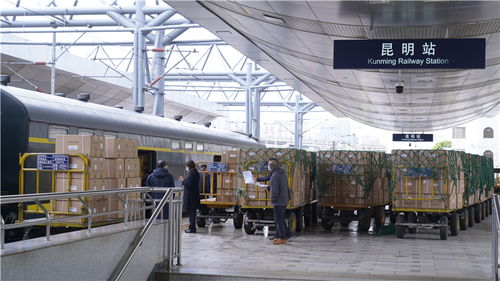 滇黔携手共援上海，防疫物资千里驰援